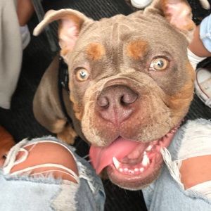 Meet your Posher, Brianna